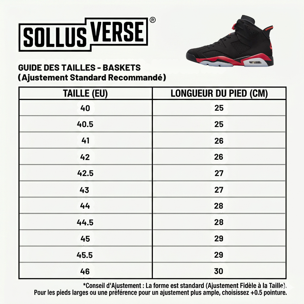 Baskets Air 6 Retro noires infrarouges pour homme
