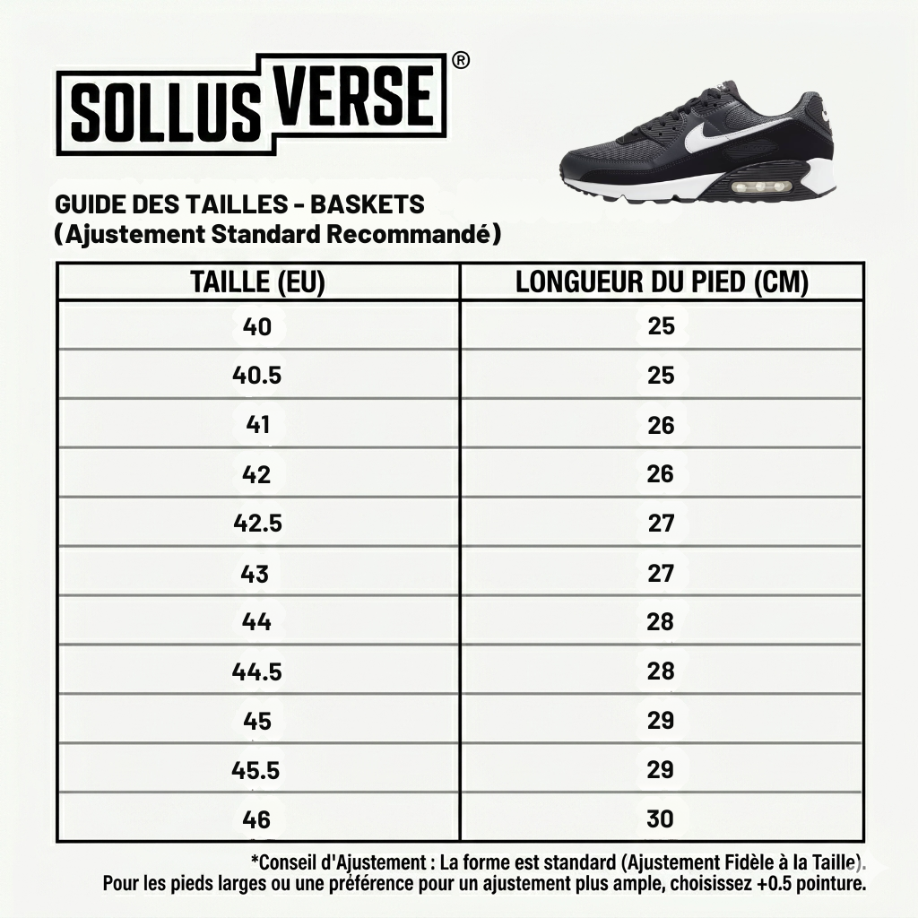 Baskets Air Max 90 Noires et Blanches pour Hommes
