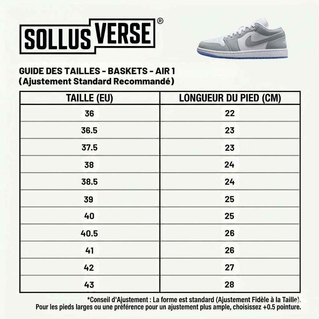 Baskets Air 1 Low Stealth Grey pour Femme