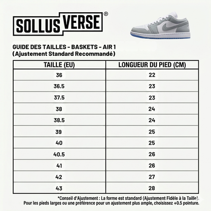 Baskets Air 1 Low Stealth Grey pour Femme