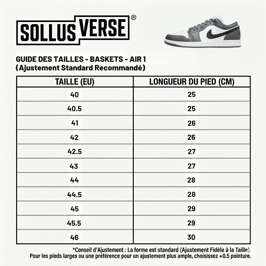 Baskets Air 1 Low Shadow Grey pour Homme