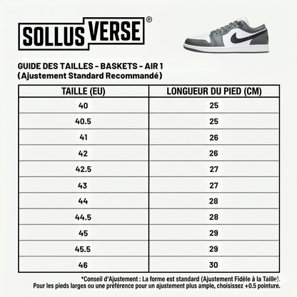 Baskets Air 1 Low Shadow Grey pour Homme